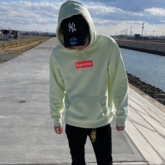 Supreme Box Logo Hooded Sweatshirt FW17 - Picture 8 of 8